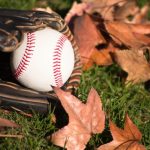 fall-ball-910-year-old-division-1369240153-jpg